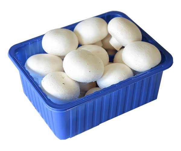 قارچ درجه ۱ لوکس